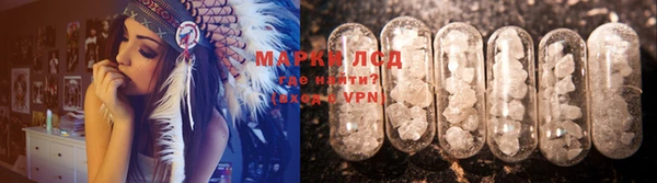стаф Баксан
